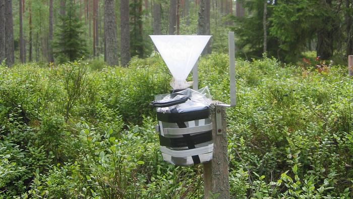 Krondroppsnätet mätutrustning i skog.