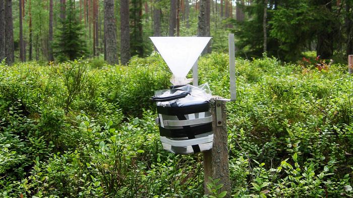 Krondroppsnätets mätningar av försurning och övergödning i svenska skogen.